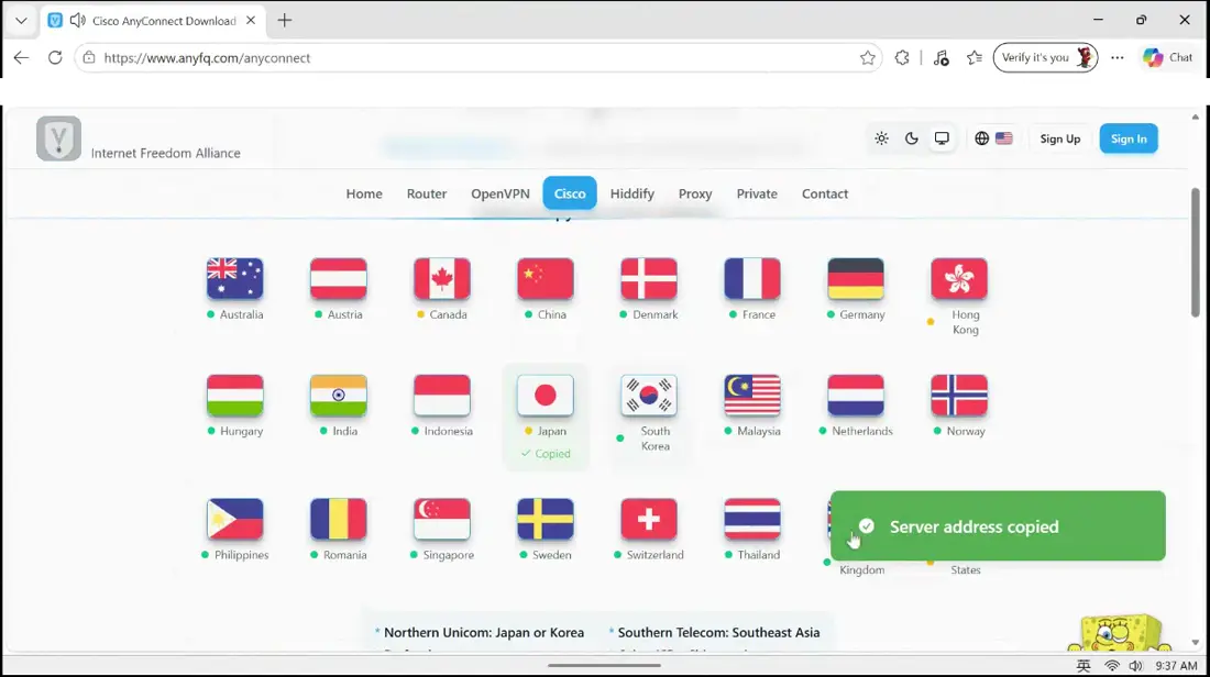 With the client open, go back to the website and click the flag of the region you want. The server address is copied automatically.
